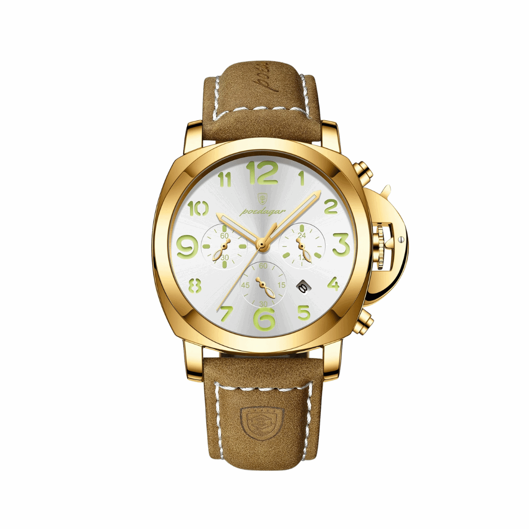 Sweston™  Sports Timepiece for Men